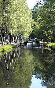 im Schlassgarten von Schwerin an fließbegleitender Birkenallee