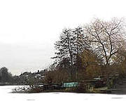 Lankower See, Ostufer im Winter 